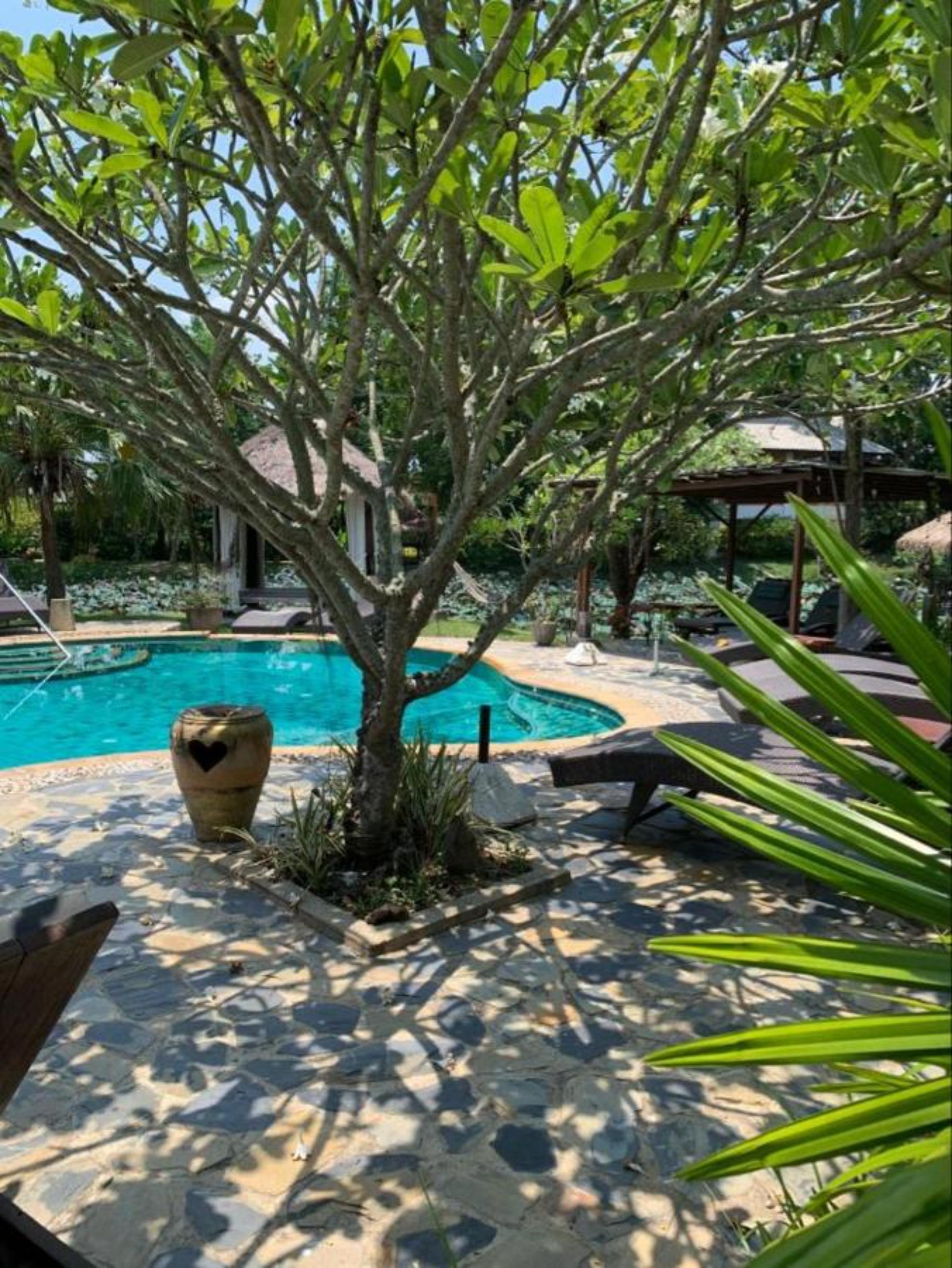 Baan Chai Thung Resort Doi Saket Екстер'єр фото