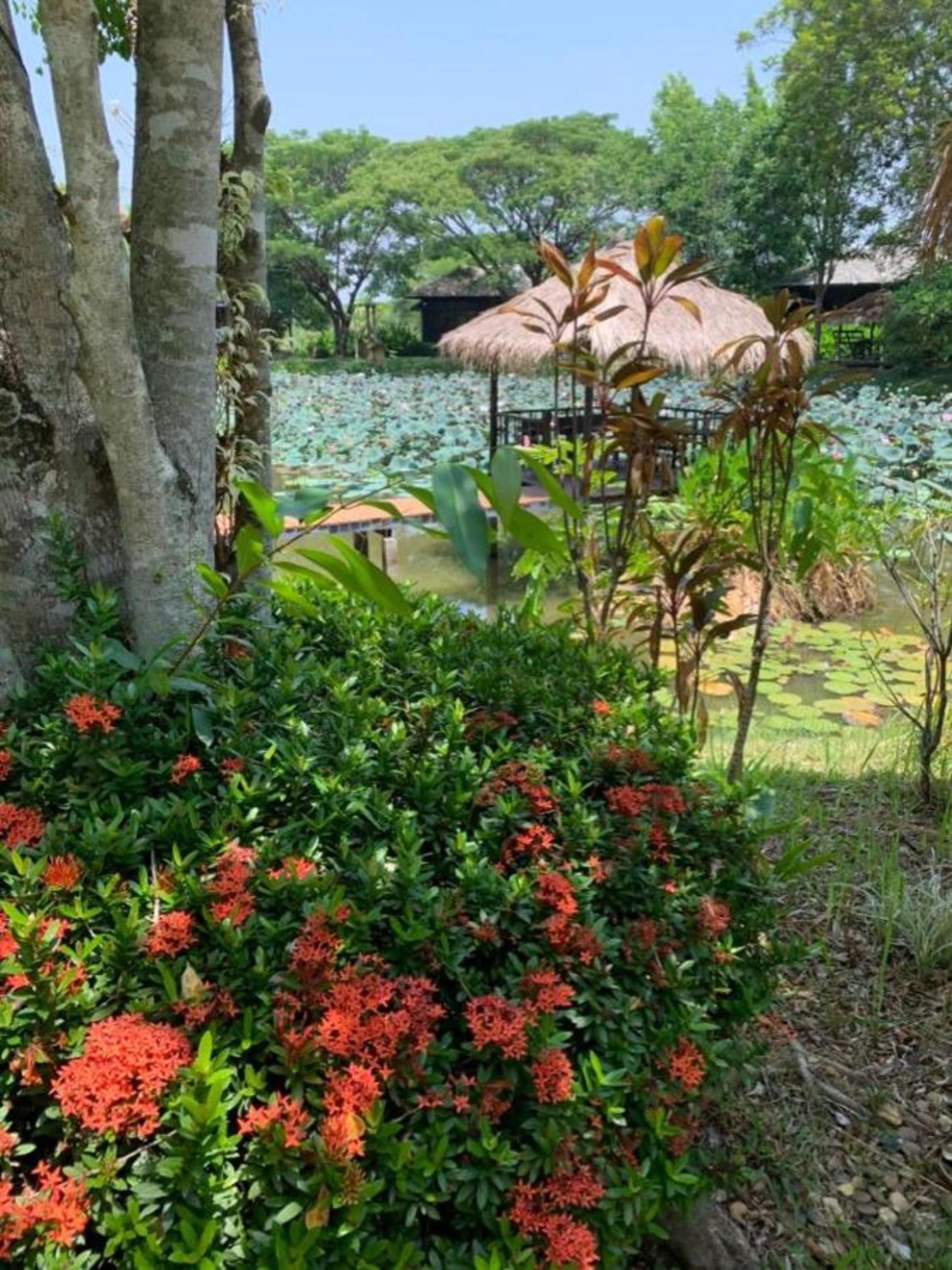 Baan Chai Thung Resort Doi Saket Екстер'єр фото